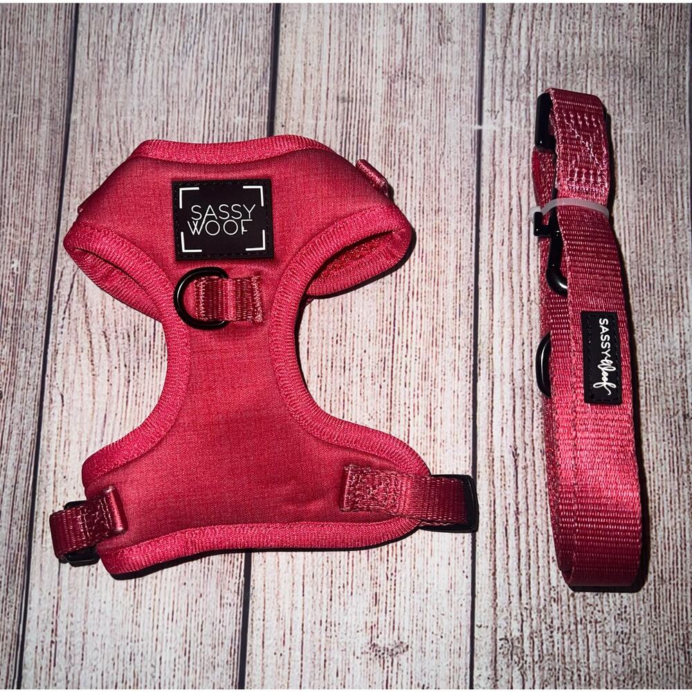Sassy Woof Merlot set of Adjustable Harness and Matching Fabric Leash SZ XXS NEW